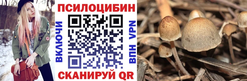 Галлюциногенные грибы Psilocybine cubensis  наркотики  Рассказово 